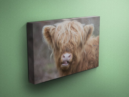 A Sexy Cow - Cow Canvas
